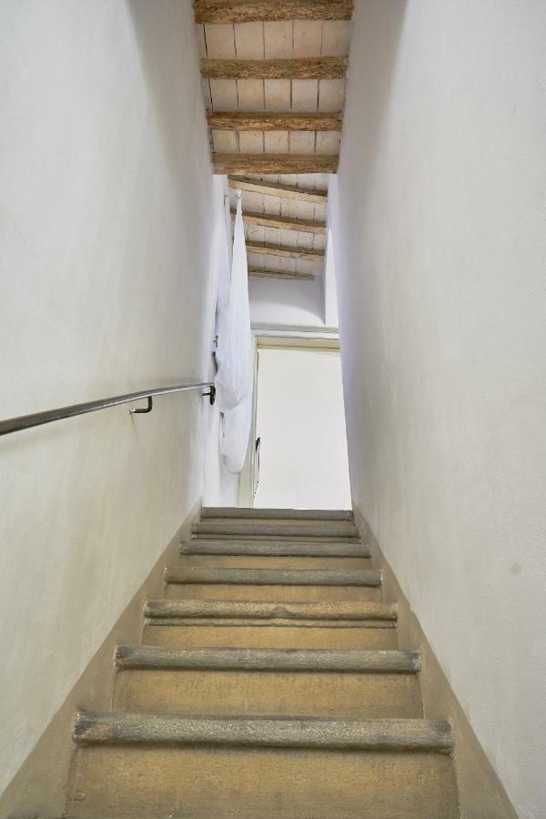 Casa Laurentius Pisa Bagian luar foto